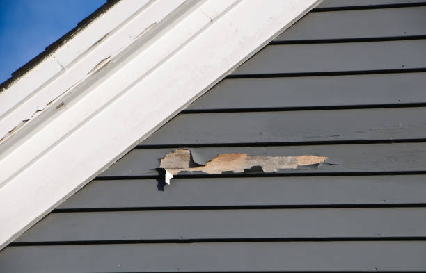 Best Foreclosure Cleanout  in Bigfork, MT
