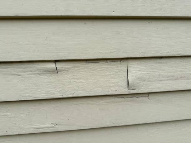 Best Hoarding Cleanup  in Bigfork, MT